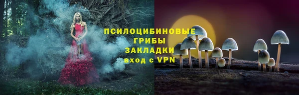 ALPHA-PVP Богородицк